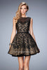 Picture of: Short Lace Dress with Polka Dots and Sheer Detail in Black, Style: 22222, Main Picture