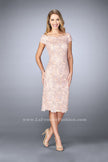 Picture of: Knee Length Gown with Scattered Beading in Pink, Style: 23552, Main Picture