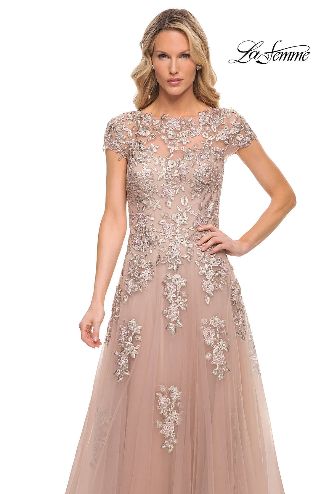 Picture of: Gorgeous Lace and Tulle Gown with Full Skirt and Sleeves in Pink, Style: 29829, Detail Picture 3