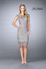 Picture of: Short Metallic Lace Dress with Sheer Top and Hem in Platinum, Style: 24861, Detail Picture 1