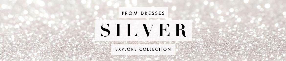 Picture of: Silver Prom Dresses