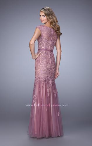 Picture of: Lace and Tulle Dress with Sheer Lace Capped Sleeves in Pink, Style: 21677, Back Picture