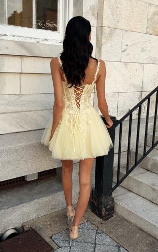 Picture of: Lace Applique Tulle Fit-and-Flare Mini Dress in Pale Yellow, Style 34146, Back Picture