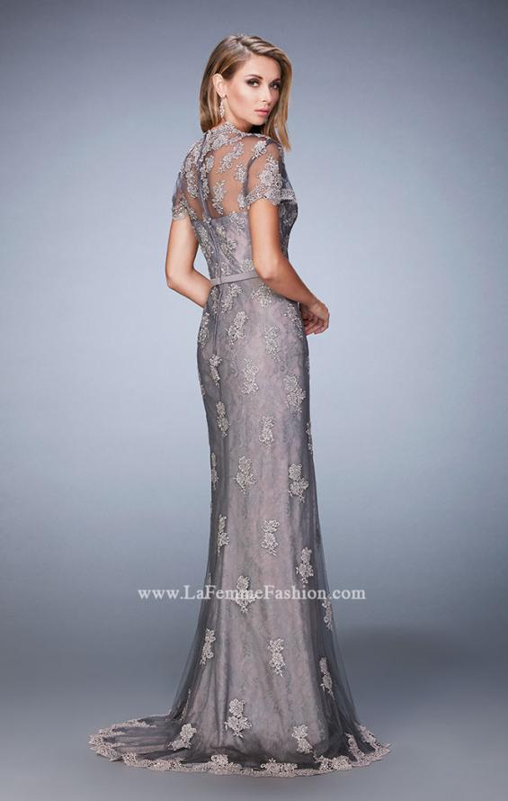 Picture of: Short Sleeve Evening Gown with Lace Underlay in Silver, Style: 21897, Back Picture