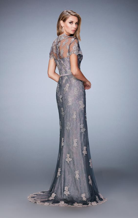 Picture of: Short Sleeve Evening Gown with Lace Underlay in Silver, Style: 21897, Detail Picture 2