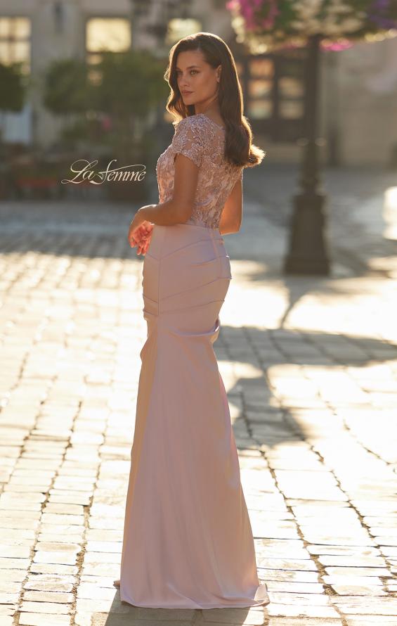 Pink Picture of: Embroidered Illusion Bodice Gown with Ruched Jersey Skirt in Dusty Pink, Style: 32737, Back Picture