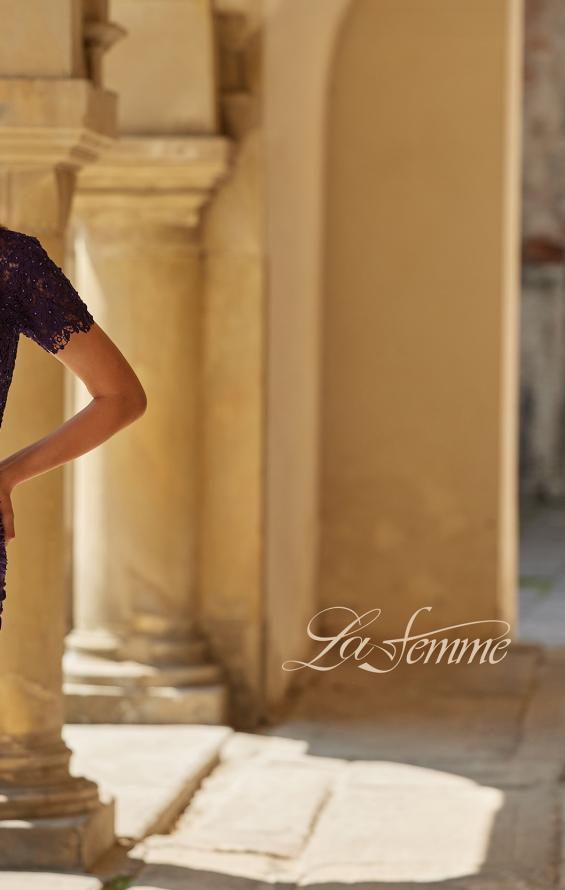 Purple Picture of: Short Sleeve Lace Bodice Evening Gown in Eggplant, Style: 33331, Detail Picture 10, Landscape