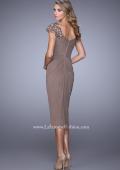 Picture of: Net Jersey Cocktail Dress with Embroidered Sleeves in Cocoa, Style: 21648, Back Picture