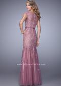 Picture of: Lace and Tulle Dress with Sheer Lace Capped Sleeves in Pink, Style: 21677, Back Picture