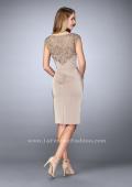 Picture of: Knee Length Gown with Beaded Embroidery in Nude, Style: 23266, Back Picture