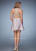 Picture of: Short A-line Dress with Beads, Lace, and Pockets in Nude, Style: 23393, Back Picture