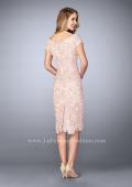 Picture of: Knee Length Gown with Scattered Beading in Pink, Style: 23552, Back Picture