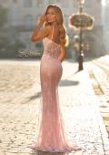 Picture of: Lace Fitted Gown with Sheer Bodice and Spaghetti Straps in Baby Pink, Style: 33485, Detail Picture 3