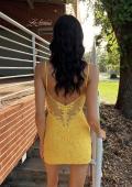 Picture of: Lace Illusion Back Mini Dress in Banana, Style 33929, Detail Picture 6