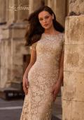 Picture of: Beautiful Lace Mother of the Bride Dress with Short Sleeves, Style: 29161, Detail Picture 3