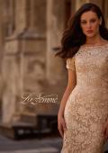Picture of: Beautiful Lace Mother of the Bride Dress with Short Sleeves, Style: 29161, Detail Picture 4, Landscape