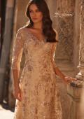 Picture of: Beautiful Lace Mother of the Bride Gown with V Neckline in Champagne, Style: 30803, Detail Picture 1
