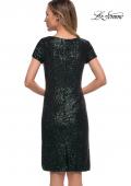 Picture of: Knee Length Sequin Dress with Short Sleeves in Dark Emerald, Back Picture