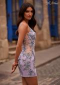 Picture of: Lavender Lace Short Dress with Illusion Sides in Lavender Gray, Style 32616, Detail Picture 1