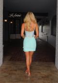 Picture of: Lace Illusion Back Mini Dress in Light Mint, Style: 33930, Detail Picture 4