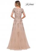 Picture of: A Line Tulle and Lace Gown with Short Sleeves in Nude, Back Picture