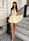 Picture of: Lace Applique Tulle Fit-and-Flare Mini Dress in Pale Yellow, Style 34146, Main Picture