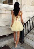 Picture of: Lace Applique Tulle Fit-and-Flare Mini Dress in Pale Yellow, Style 34146, Back Picture