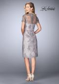 Picture of: Short Lace Dress with Illusion Back and Neckline in Pink/Gray, Style: 24931, Back Picture