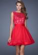 Picture of: Tulle Skirt Short Cocktail Dress with Jewel Details in Pink, Style: 20429, Detail Picture 1