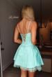 Picture of: Embellished Lace Trim Fit-and-Flare Mini Dress in Aqua, Style 34144, Back Picture