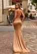 Picture of: Sheer Appliqué Satin Gown with Open Back in Bronze, Style: 33586, Back Picture