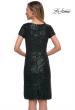 Picture of: Knee Length Sequin Dress with Short Sleeves in Dark Emerald, Back Picture