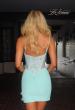 Picture of: Lace Illusion Back Mini Dress in Light Mint, Style: 33930, Back Picture