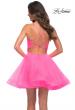 Picture of: Neon Short Fit and Flare Tulle Dress with Open Back in Neon Pink, Back Picture