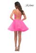 Picture of: Neon Short Fit and Flare Tulle Dress with Open Back in Neon Pink, Detail Picture 2