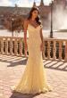 Picture of: Lace Fitted Gown with Sheer Back and Spaghetti Straps in Pale Yellow, Style: 33452, Detail Picture 3