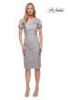 Picture of: Short Sleeve Below the Knee Dress with High Neckline in Silver, Detail Picture 1
