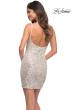 Picture of: Short Simple Sequin Dress with Square Neckline in Silver, Back Picture